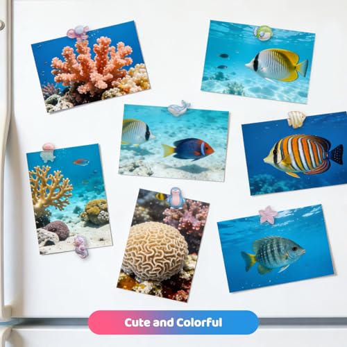 8 Cute Ocean Animal Fridge Magnets - Colorful Decorative Set
