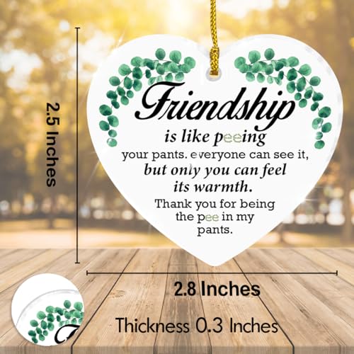 Funny Friendship Acrylic Ornament Keepsake Gift for Best Friends