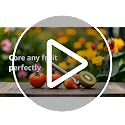 Stainless Steel Strawberry Huller & Tomato Corer Tool