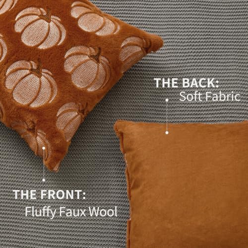 DFXSZ 18x18 Rust Pumpkin Fall Pillow Covers Set of 2 Plush Autumn Home Decor
