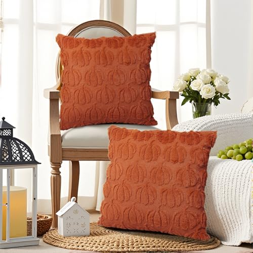 Robvobe Fall Pumpkin Pillow Covers 18x18 Set of 2 Autumn Decor Plush Jacquard