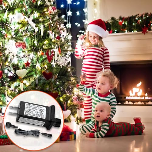 24V 0.25A LED Power Supply with Extension Cord for Holiday Lighting