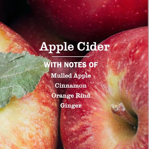Mrs. Meyer's Apple Cider Liquid Dish Soap, 16 Fl Oz - Biodegradable Grease Cutter