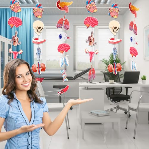 Anatomy Themed Hanging Banner - 28 Pcs Human Body Parts Cutouts