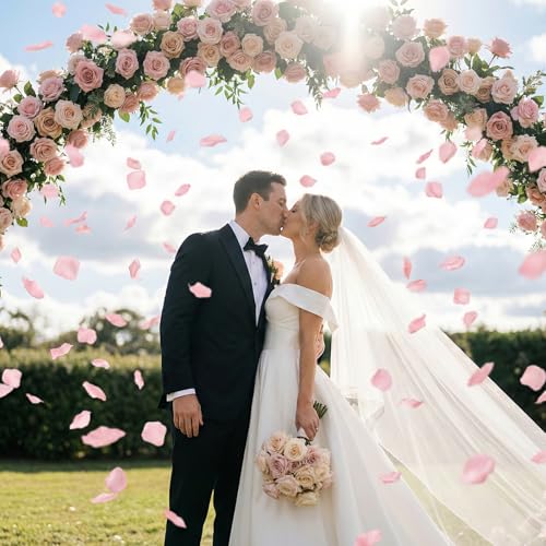 Anwyll 3000Pcs Pink Artificial Rose Petals for Wedding & Romantic Decor