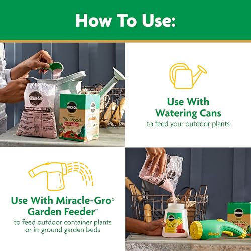 Miracle-Gro Water Soluble Tomato Plant Food, 1.5 lb - Boost Growth