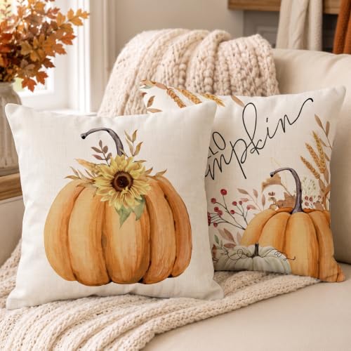 Auomily 18x18 Inch Double-Sided Fall & Christmas Throw Pillow Covers, Set of 2