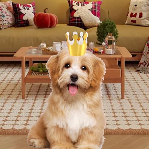 Costyleen Mini Stuffed Animal Party Hats - 11-Piece Cone & Crown Set