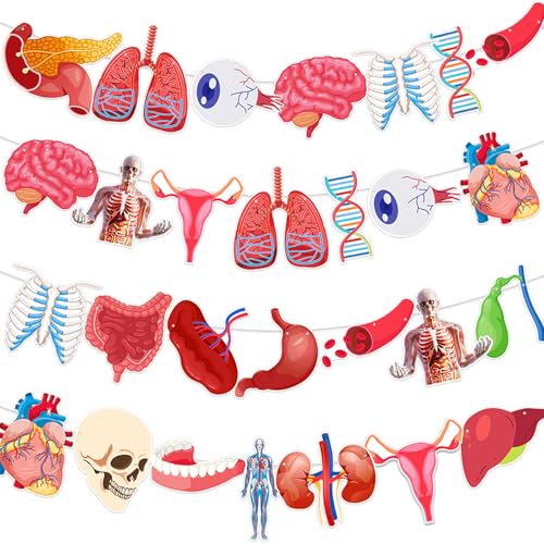 Anatomy Themed Hanging Banner - 28 Pcs Human Body Parts Cutouts
