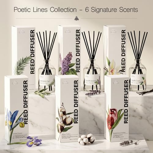 Reed Diffuser Set with Glass Bottle & Sticks - Long Lasting Aroma