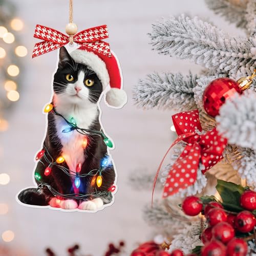Personalized Black Cat Christmas Ornament 2025 - Funny Tree Decor