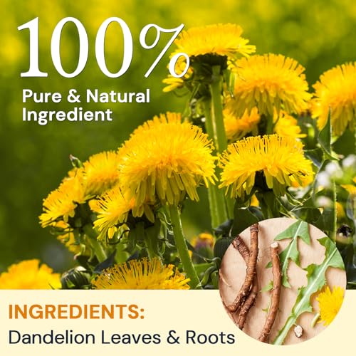 Dandelion Leaf & Root Herbal Tea - Caffeine-Free, 50 Teabags