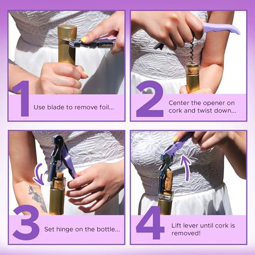 Shakey Professional Waiter's Corkscrew Wine Opener - 2-Pack