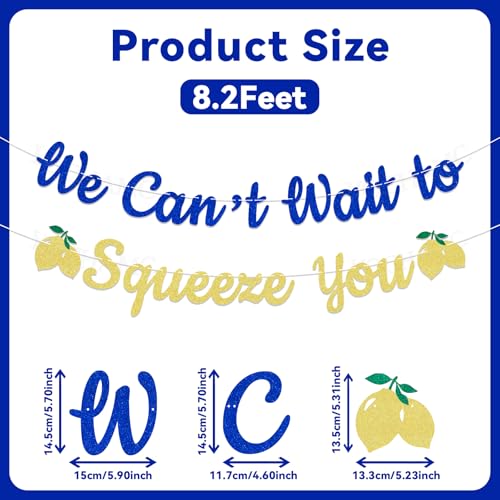 We Can't Wait To Squeeze You Banner | Italian Lemon Baby Shower Decor