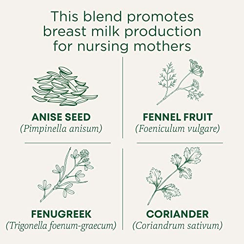 Organic Mother's Milk Tea - 32 Count for Lactation Support