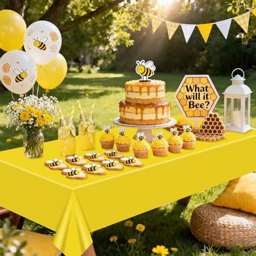 2 Pack Check Tablecloths for Story Birthday Parties, 87 x 51 inch