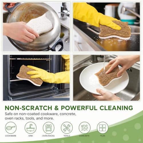 MoopBrushee 8 Pack Eco Friendly Kitchen Sponges - Natural Coconut Scrubber