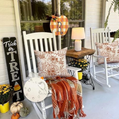 RABUSOFA Fall Pillow Covers 18x18 Inch Set of 2 - Rust