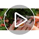 50 Pcs Clear Christmas Ornaments Balls Fillable 80mm - DIY Holiday Decorations
