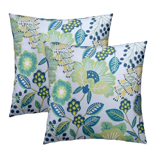 Phthalorum Chinoiserie Floral Pillow Covers, Teal Green 18x18 Set of 2