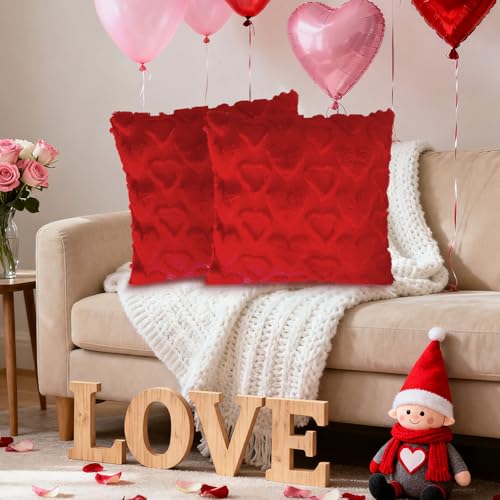 FSSODWT Red Valentine's Day Pillow Covers 18x18 Inch 2 Pack - Heart Openwork Decor