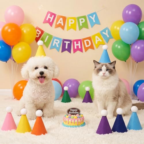 8 Pack Mini Party Hats for Small Pets - Felt Birthday Cone Hats