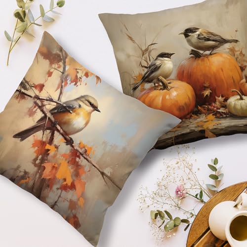 Vintage Fall Pumpkin Bird Throw Pillow Covers Set of 2 - 18x18in