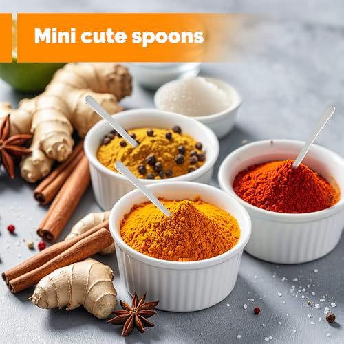 Mini Stainless Steel Spoons Set of 6 - 3.93" Tiny Spice Spoons