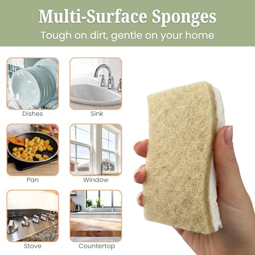 VIREO Eco-Friendly Biodegradable Sponges - 12 Pack Odor-Free Kitchen Scrubbers