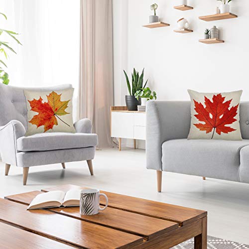 Coitak 18-Inch Fall Pillow Covers, Maple Leaves Design - 2 Pack