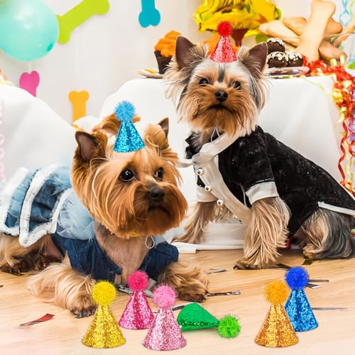 10 PCS Mini Party Hats for Stuffed Animals and Small Pets, Cone Style
