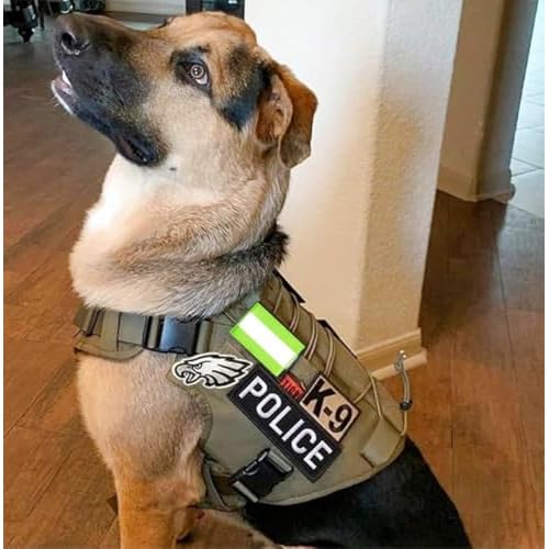 2pcs Reflective Safety Patches Hook and Loop Reflective Patch for Night Sports, Labor Wear, Rain Jackets, Hikers, Dog Vest, Firefighter Rescue Police£¨Strip-Shaped, Green£©