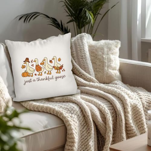 Fall Farmhouse Thanksgiving Goose Throw Pillow Cover 18x18, Fall11