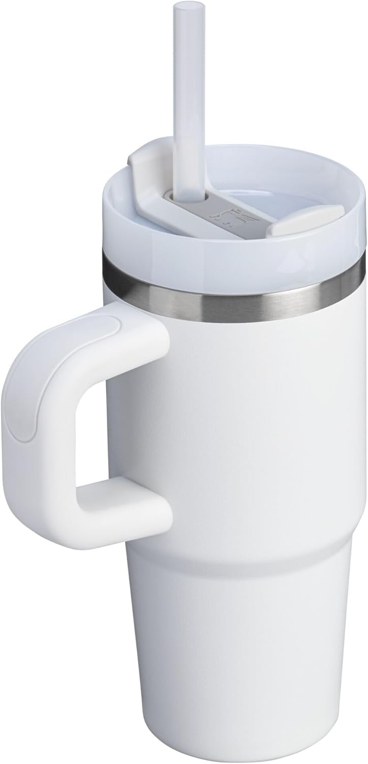 STANLEY Quencher H2.0 Tumbler - 14 oz Insulated Stainless Steel Cup with Handle & Straw | BPA-Free | Frost