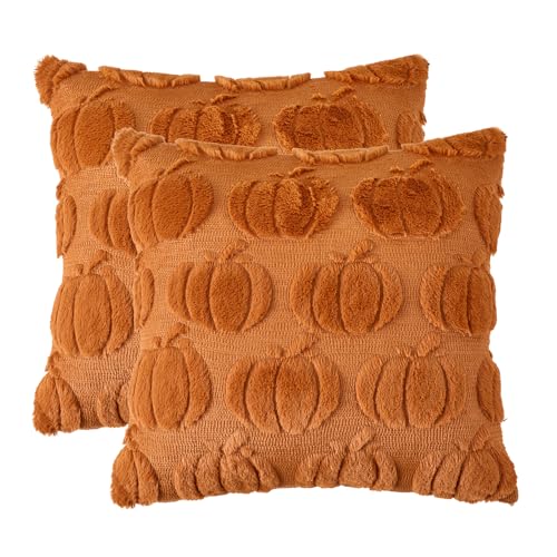 Volcanics Rust Pumpkin Fall Throw Pillow Covers 20x20 Set of 2 - Faux Fur Accent Cushions for Autumn Decor