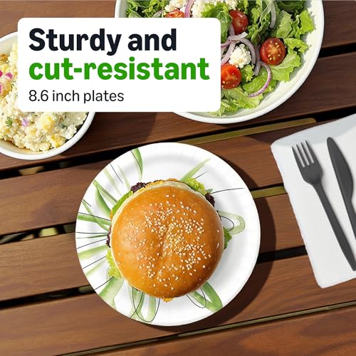 Amazon Basics 8.62 Inch Disposable Paper Plates, 600 Count (Pack of 2)