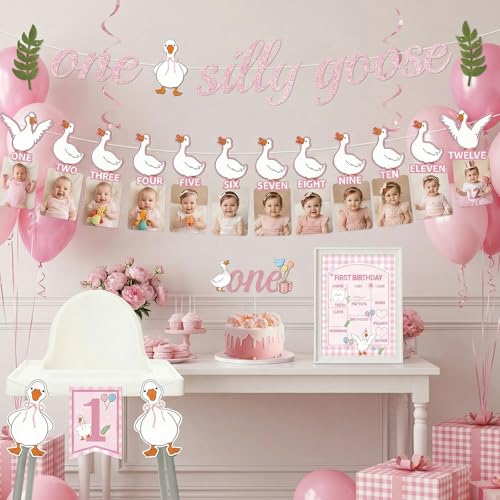 Silly Goose First Birthday Decor Set for Girls - 4 PCS