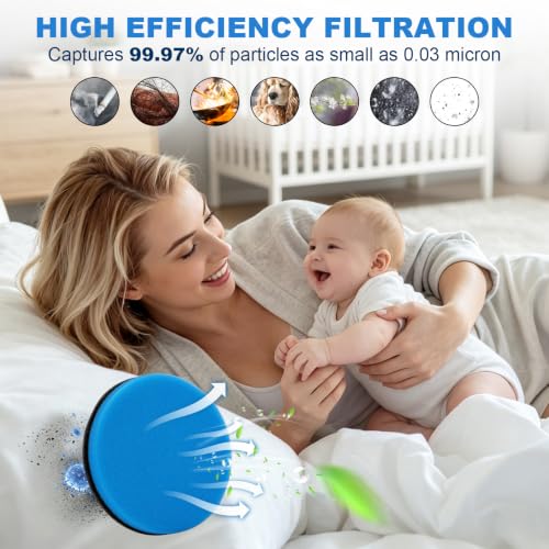 Febreze Vacuum Filter 6 Pack for Bissell Cleanview & PowerGlide