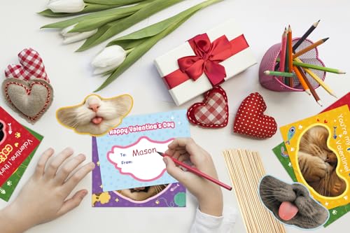 30 Cute Kitten Valentine's Day Cards for Kids with Envelopes & Stickers