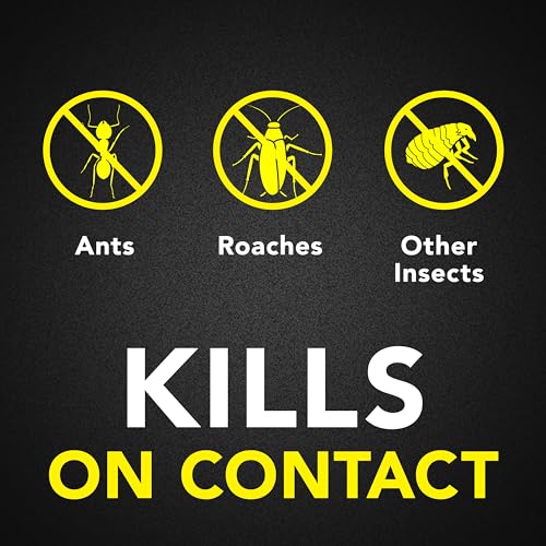 Raid Ant & Roach Killer Spray, Lavender Scent, 17.5 oz (Pack of 2)
