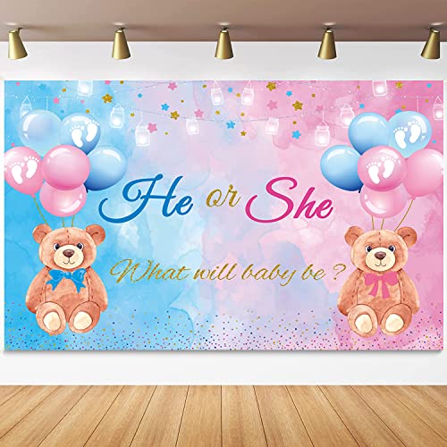 He or She Gender Reveal Bear Backdrop Banner - 70.8" x 47.2"