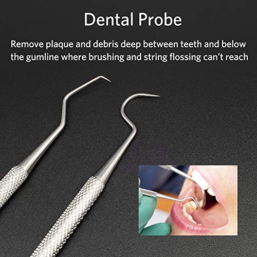 Langsum Stainless Steel Dental Hygiene Kit with Storage Box