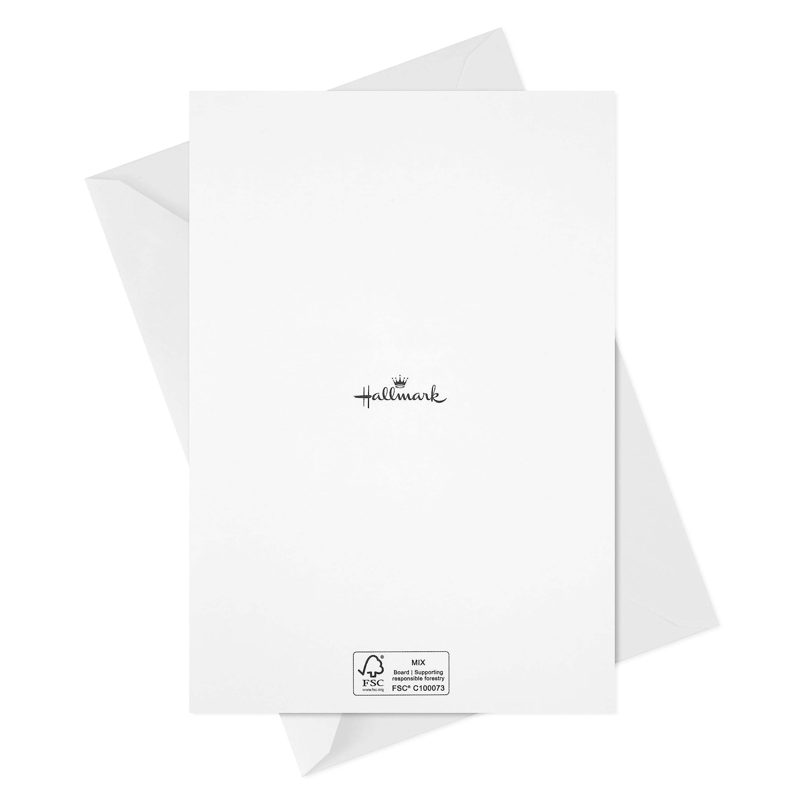 Hallmark Spiritual Boxed Christmas Cards (16 Cards and Envelopes) Gold and White, That is Christmas