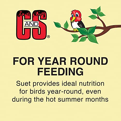 C&S Sunflower Wild Bird Suet Treat - Year-Round Feeding