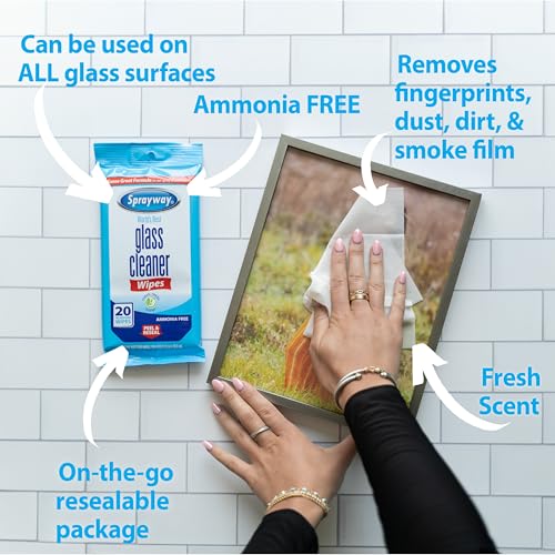 Sprayway Ammonia-Free Glass Cleaner Wipes, 20-Count Packs (12-Pack)