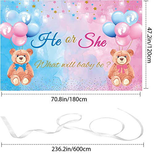 He or She Gender Reveal Bear Backdrop Banner - 70.8" x 47.2"