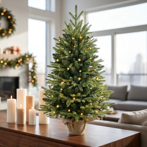 3ft Pre-Lit Nordic Fir Tabletop Christmas Tree with Pot - Warm White LEDs, Timer, Burlap Base