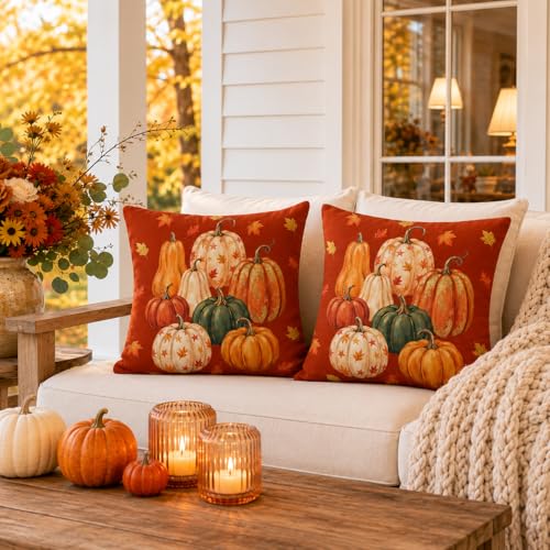 Fall Pumpkin Pillow Covers 18x18 - Set of 2 for Cozy Decor