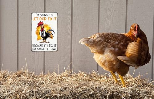 WSUPBPR Chicken G Funny Christian Gift Tin Sign for Farmhouse Kitchen Decor 8x12 in