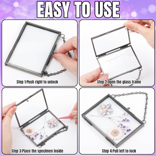 Black 20 Pcs Double Glass Frame for Pressed Flowers & Photos - Versatile Display